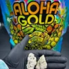 aloha gold snow cap flower