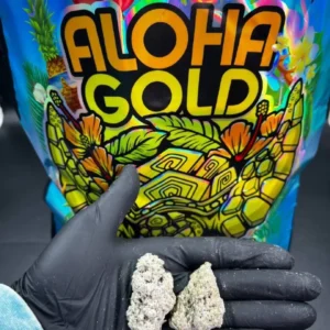 aloha gold snow cap flower
