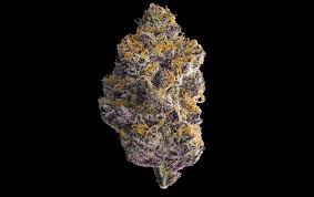Blue agape strain