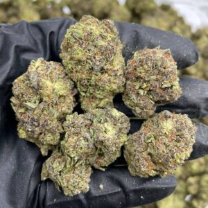 Purple Zookies Strain