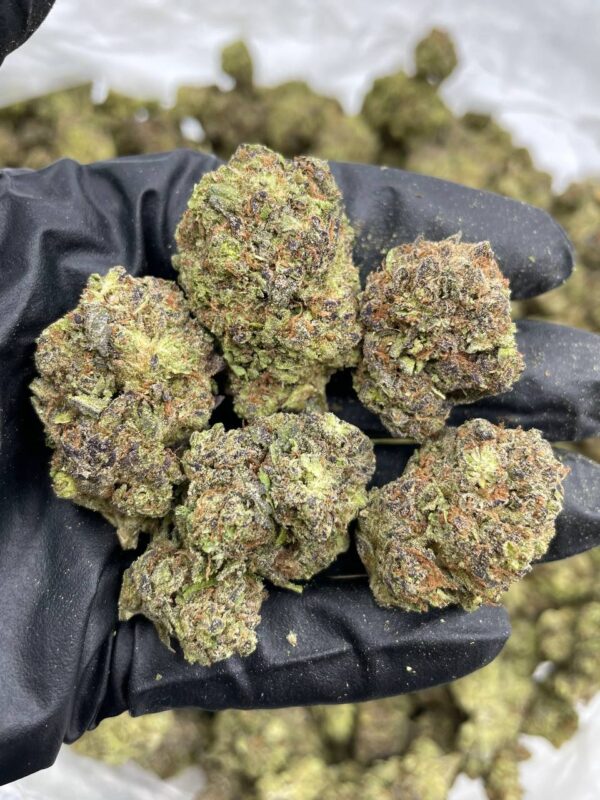 Purple Zookies Strain