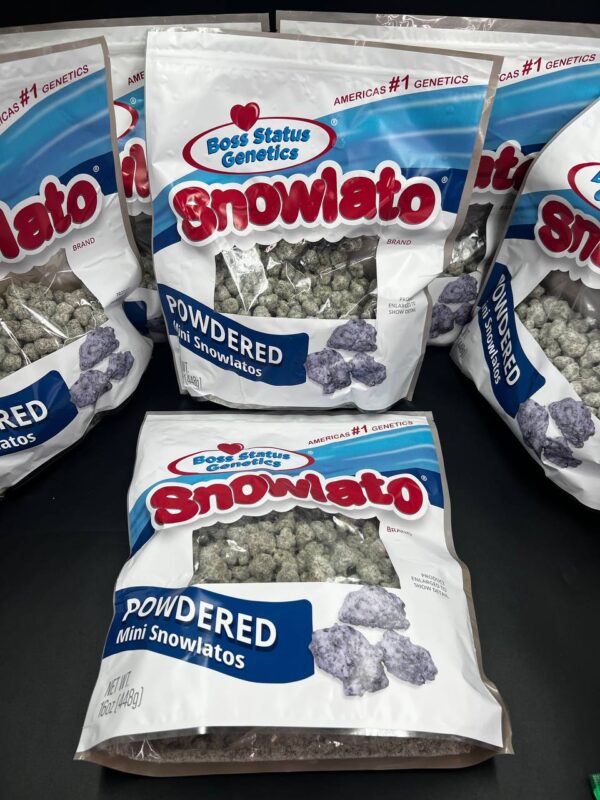 Snowlato Boss Status Genetics