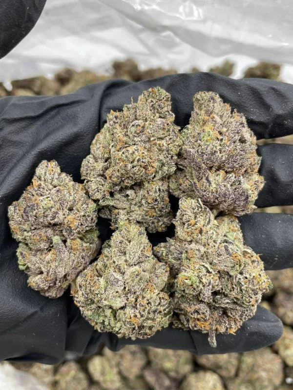 purple fun dip strain