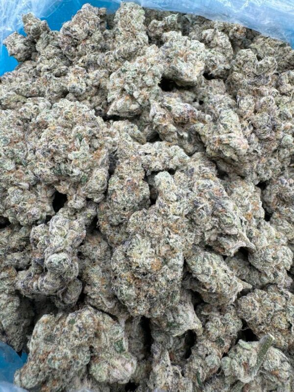 Project Z weed Strain