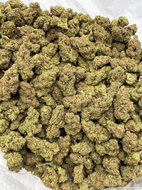 berry blizzard weed strain