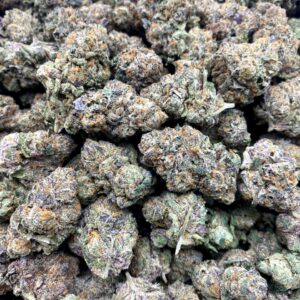 Blue Biscotti