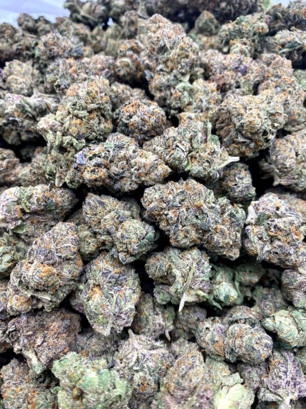Blue Biscotti