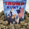 trump runtz strain allbud