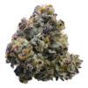 black cherry runtz weed strain