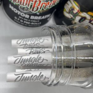 Jungle Boys Pre-Rolls