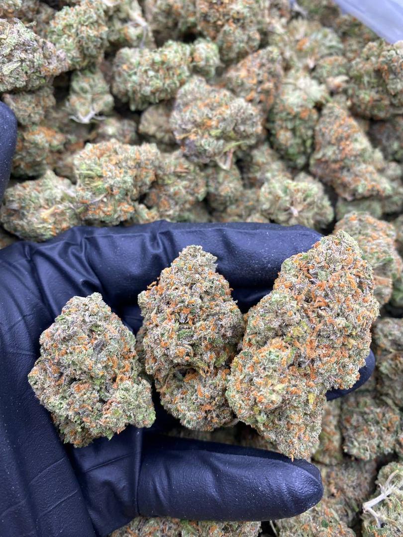 Exotic Green Crack Exotic Green Crack