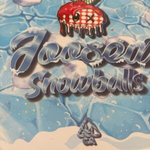 GOOSEAL SNOWCAPS