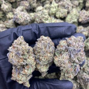 zebra cake strain
