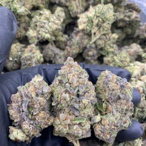 pink turbo runtz strain
