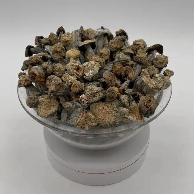 Hillbillies mushroom strain