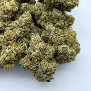 Jack Herer weed strain