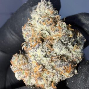 Dino Duck weed strain