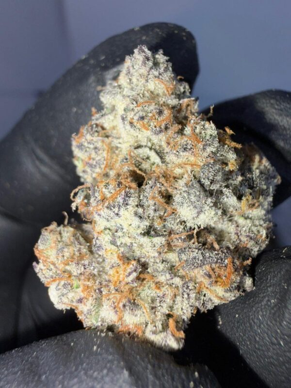 Dino Duck weed strain