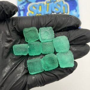 Squish Gummies 500mg per pack
