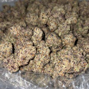 Zero Gravity weed strain