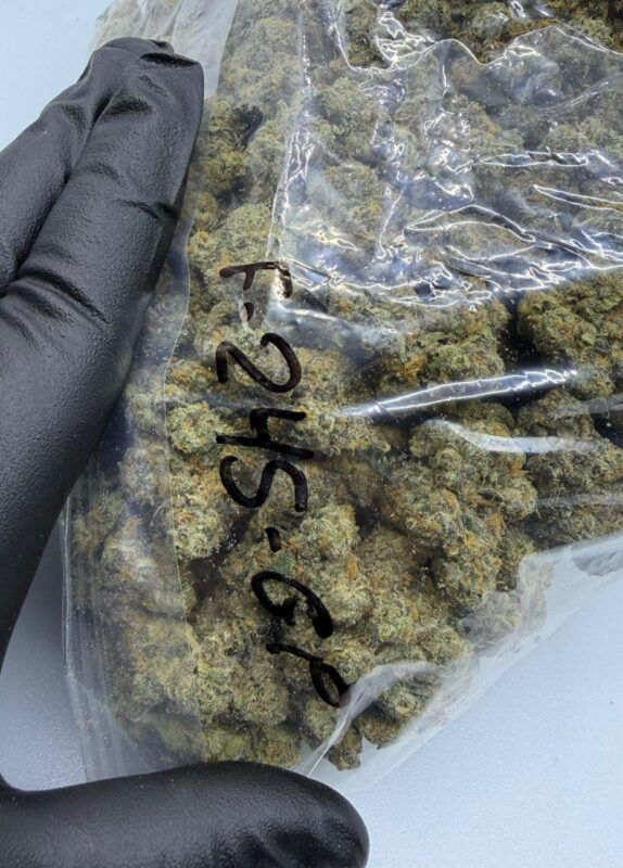 Gary Payton cannabis strain