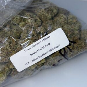 Permanent marker cannabis strain