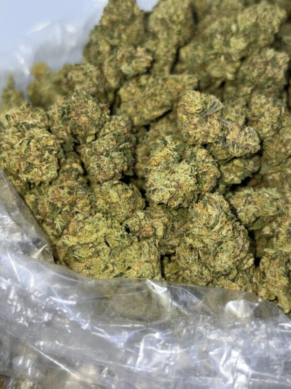 Cheeta piss cannabis strain