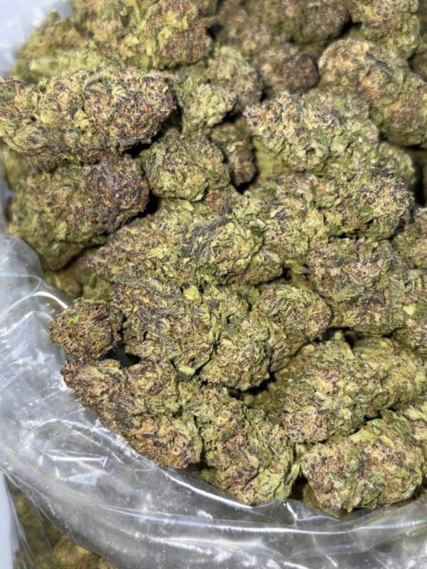 Blueberry cruffin cannabis strain