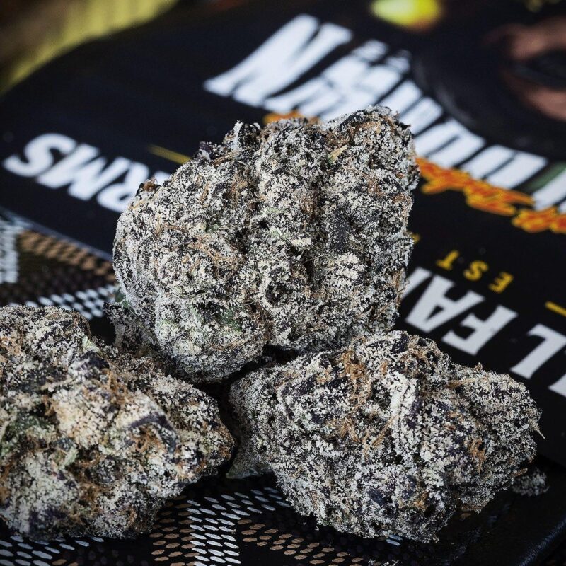Ball Family Farms premium flower