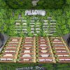 Pillows Limited Edition cannabis flowers