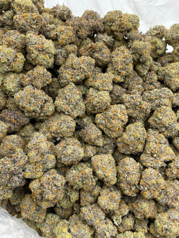 Rainbow Sharpie indoor cannabis strain