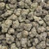 Mega Cherry Runtz Indoor cannabis strain