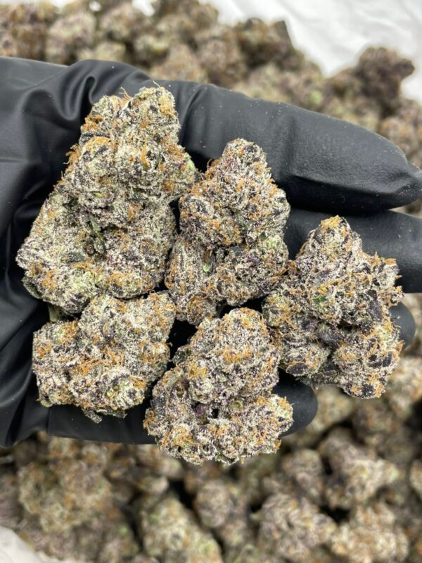 Mega Cherry Runtz Indoor cannabis