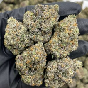 Pineapple Gobstoppers cannabis strain