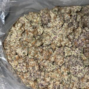 Sorry I Was Trapping cannabis strain