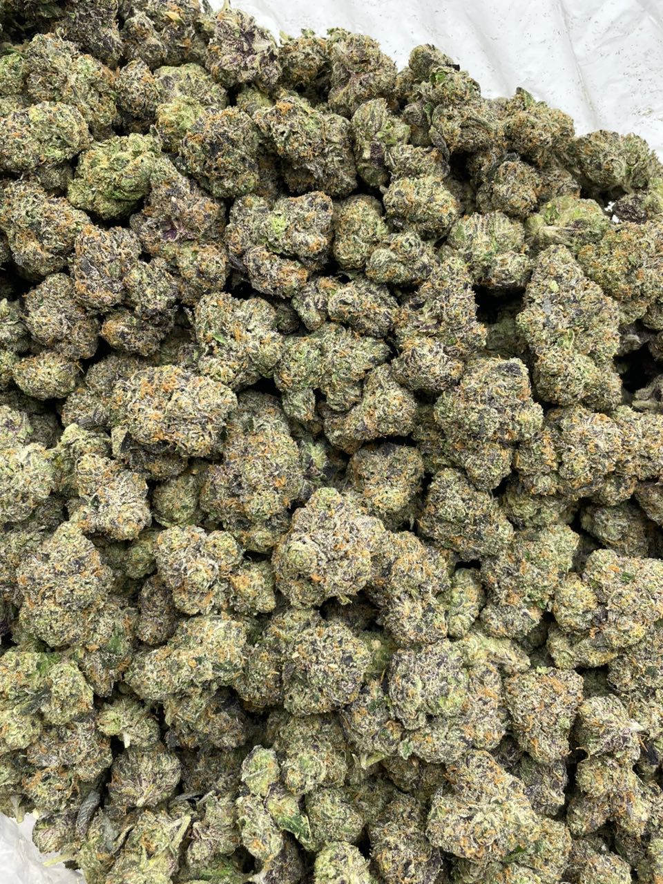 Cherry Curelato cannabis strain Cherry Curelato cannabis strain