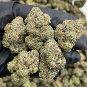 Cherry Curelato cannabis strain