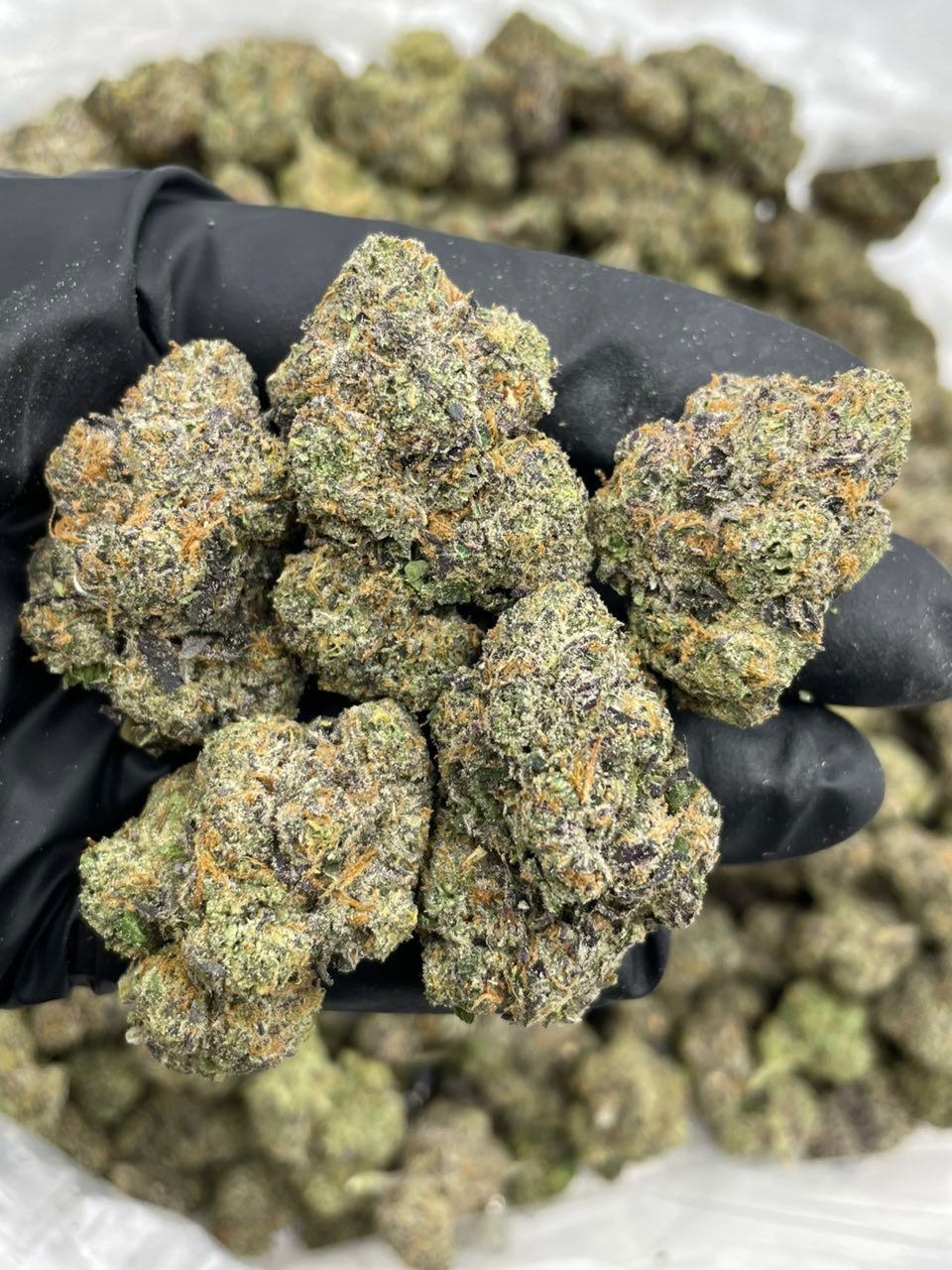 Cherry Curelato cannabis strain Cherry Curelato cannabis strain