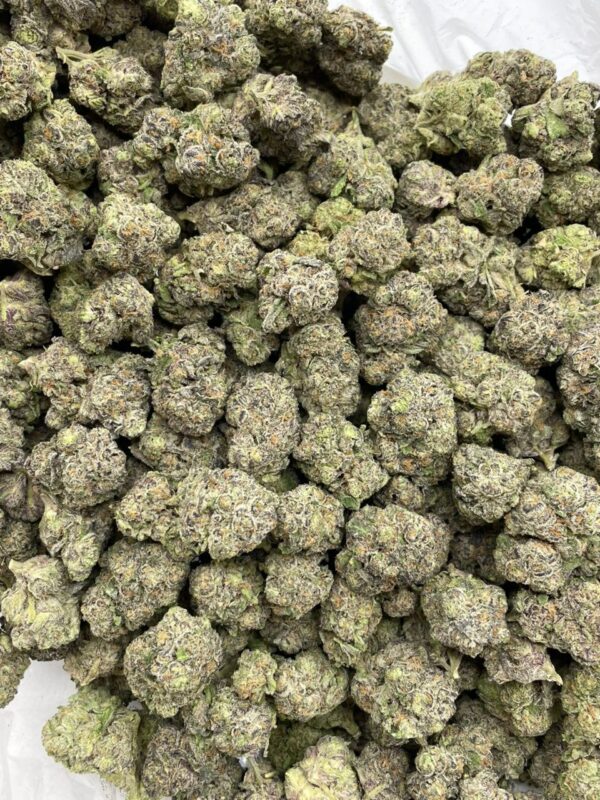 Black Cherry Nightshade mixed lights cannabis strain