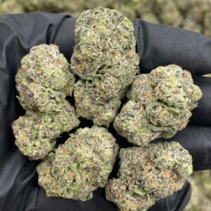 Black Cherry Nightshade mixed lights cannabis strain