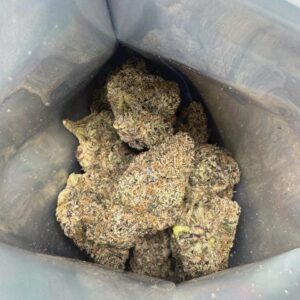 Fizz Premium Terp Cannabis Strain
