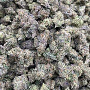 WATERMELON BELTS INDOOR cannabis strain