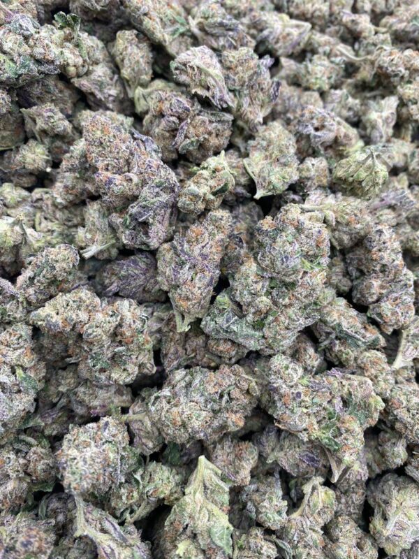 WATERMELON BELTS INDOOR cannabis strain