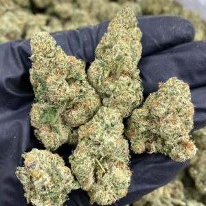 CEREAL MILK INDOORS cannabis strain