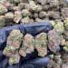 RECKLESS RUNTZ cannabis strain