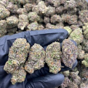 RECKLESS RUNTZ cannabis strain