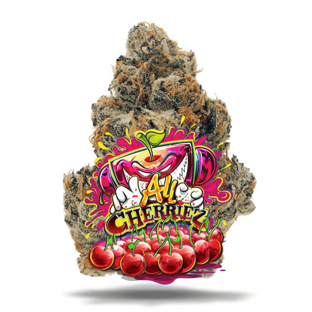 Jungle Boys cannabis flower Jungle Boys cannabis flower