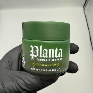 PLANTA Cannabis Strain