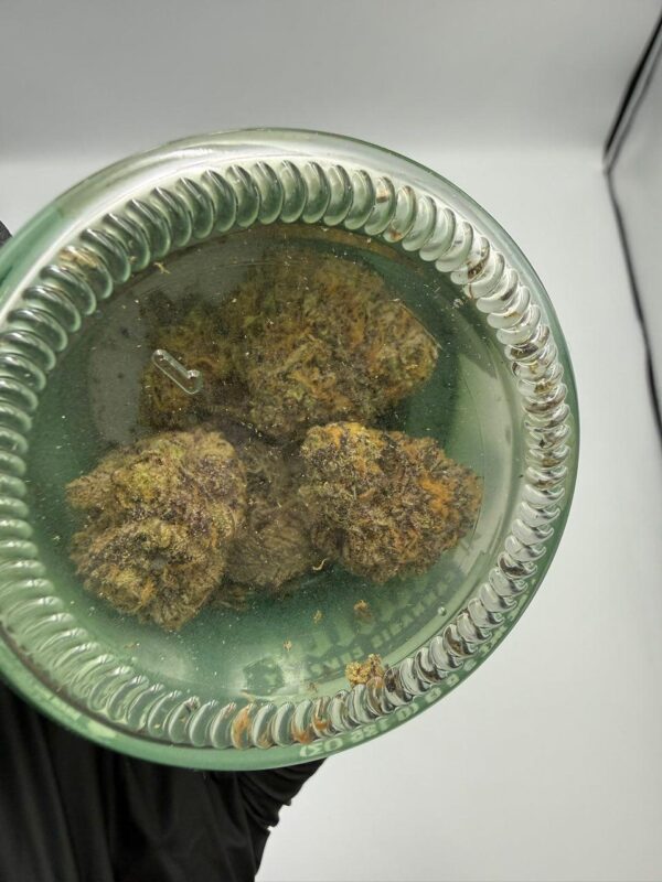 PLANTA Cannabis Strain