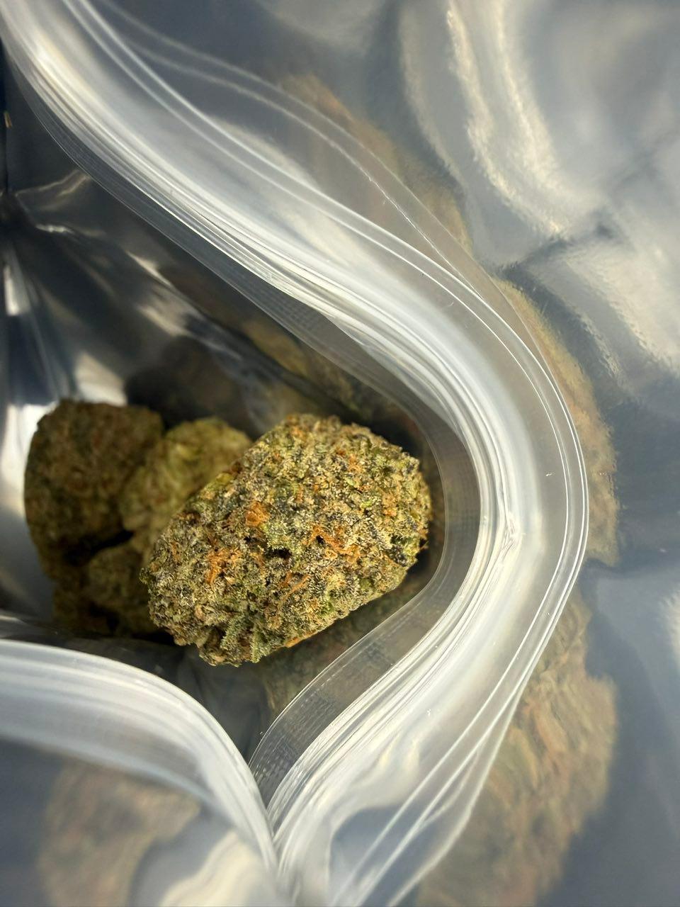 DOJA 3.5G BAGS EXOTIC FLOWER DOJA 3.5G BAGS EXOTIC FLOWER